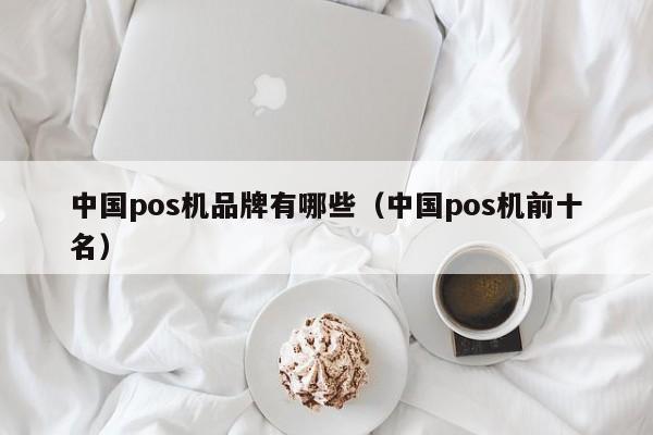 中国pos机品牌有哪些（中国pos机前十名）