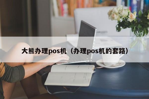 大熊办理pos机（办理pos机的套路）