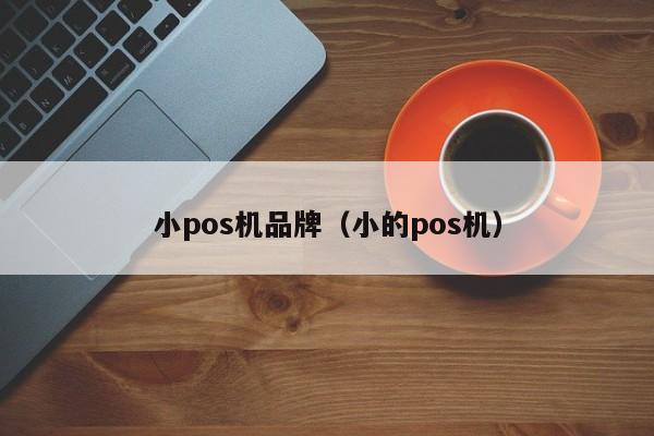 小pos机品牌（小的pos机）