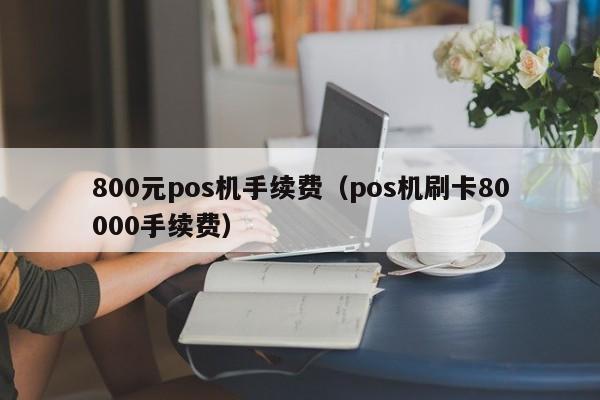 800元pos机手续费（pos机刷卡80000手续费）