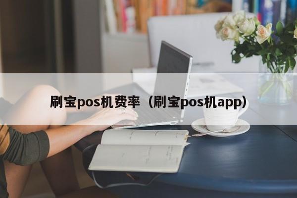 刷宝pos机费率（刷宝pos机app）