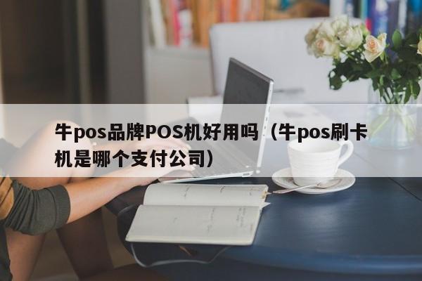 牛pos品牌POS机好用吗（牛pos刷卡机是哪个支付公司）