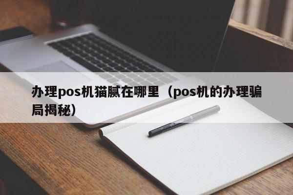 办理pos机猫腻在哪里（pos机的办理骗局揭秘）