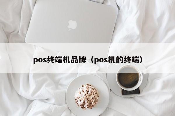 pos终端机品牌（pos机的终端）