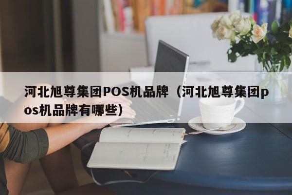 河北旭尊集团POS机品牌（河北旭尊集团pos机品牌有哪些）