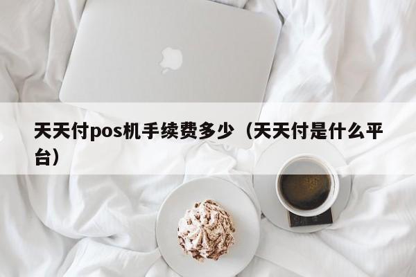 天天付pos机手续费多少（天天付是什么平台）