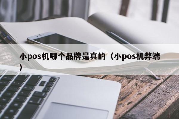 小pos机哪个品牌是真的（小pos机弊端）