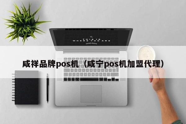 咸祥品牌pos机（咸宁pos机加盟代理）