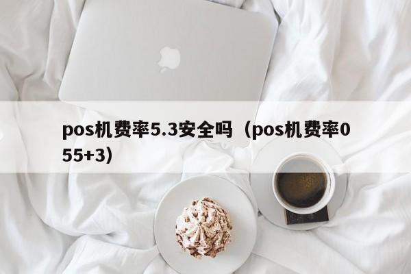 pos机费率5.3安全吗（pos机费率055+3）