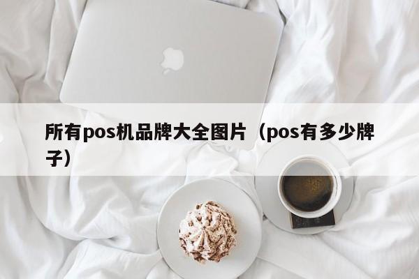 所有pos机品牌大全图片（pos有多少牌子）