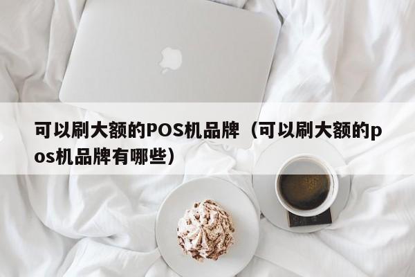 可以刷大额的POS机品牌（可以刷大额的pos机品牌有哪些）